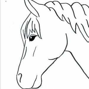 Meet your Posher, Nashali